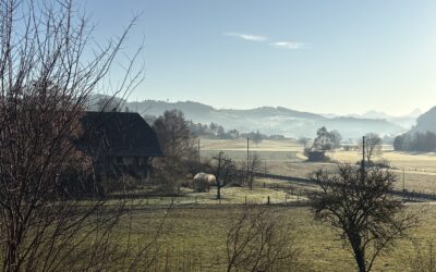 Wie lebenswert ist Stettlen?